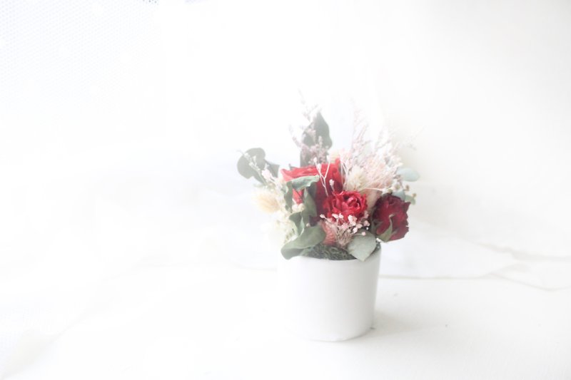森林复古玫瑰小圆桌花・古典红永生玫瑰花礼 - 干燥花/捧花 - 植物．花 红色
