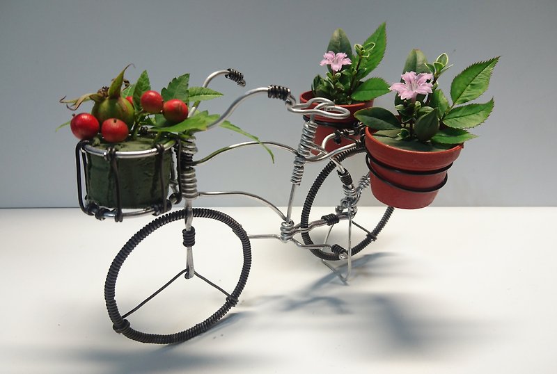 铝线脚踏车-复古淑女车(多元植栽款) - 摆饰 - 铝合金 