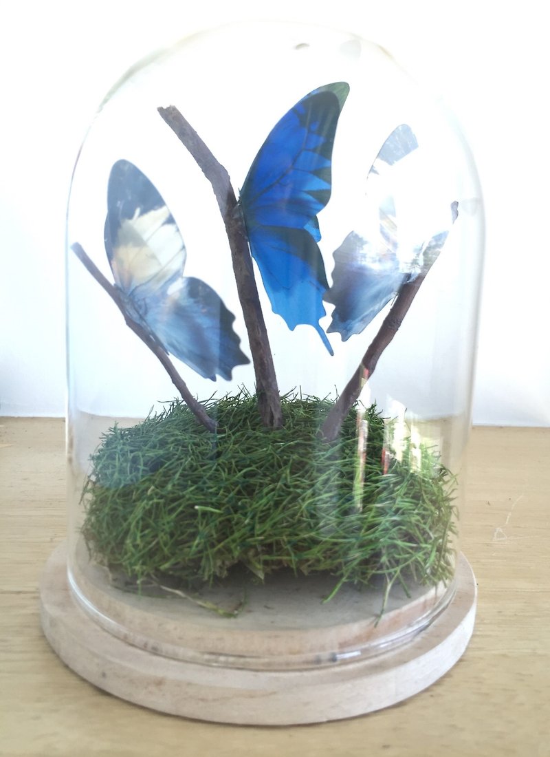 ［纯自然］彩蝶幻境 玻璃钟罩 蓝 蝴蝶 枯枝 艺品 设计 送礼 - 摆饰 - 玻璃 蓝色