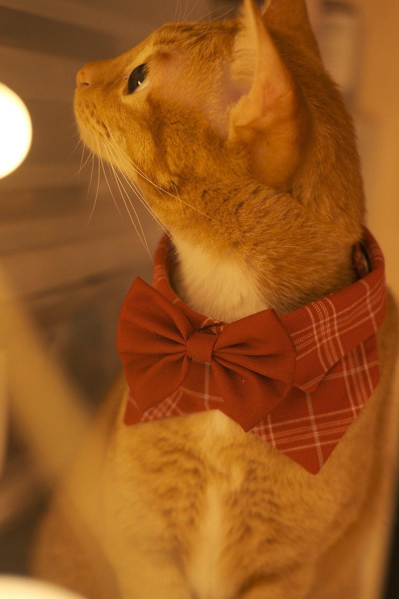 /圣诞限定 Christmas Edition/ 宠物红色格子恤衫领连煲呔 - 衣/帽 - 棉．麻 红色