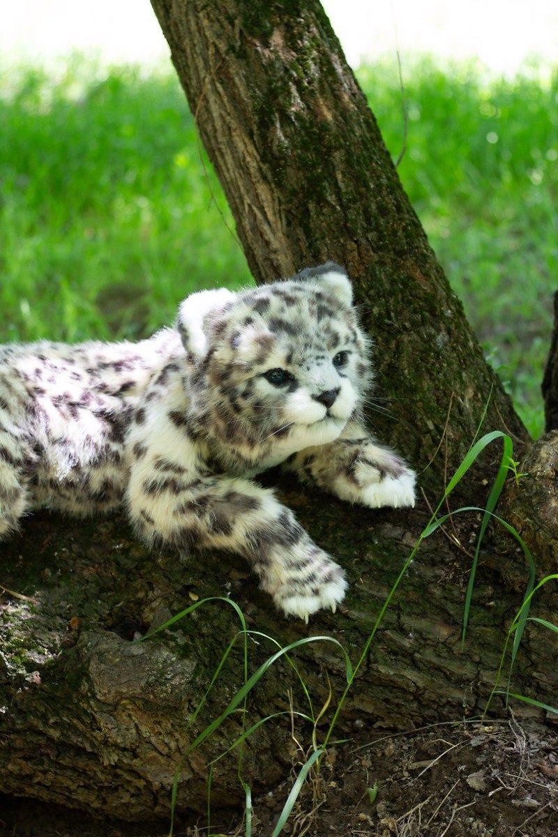 雪豹幼崽 写实毛绒动物玩具 写实猫 毛绒猫 - 玩偶/公仔 - 羊毛 白色