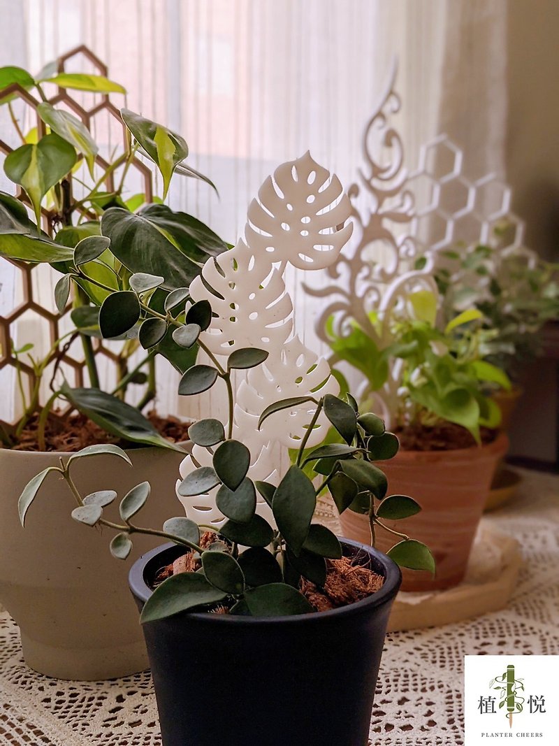 龟背芋造型植物攀爬架 - 花瓶/陶器 - 树脂 白色