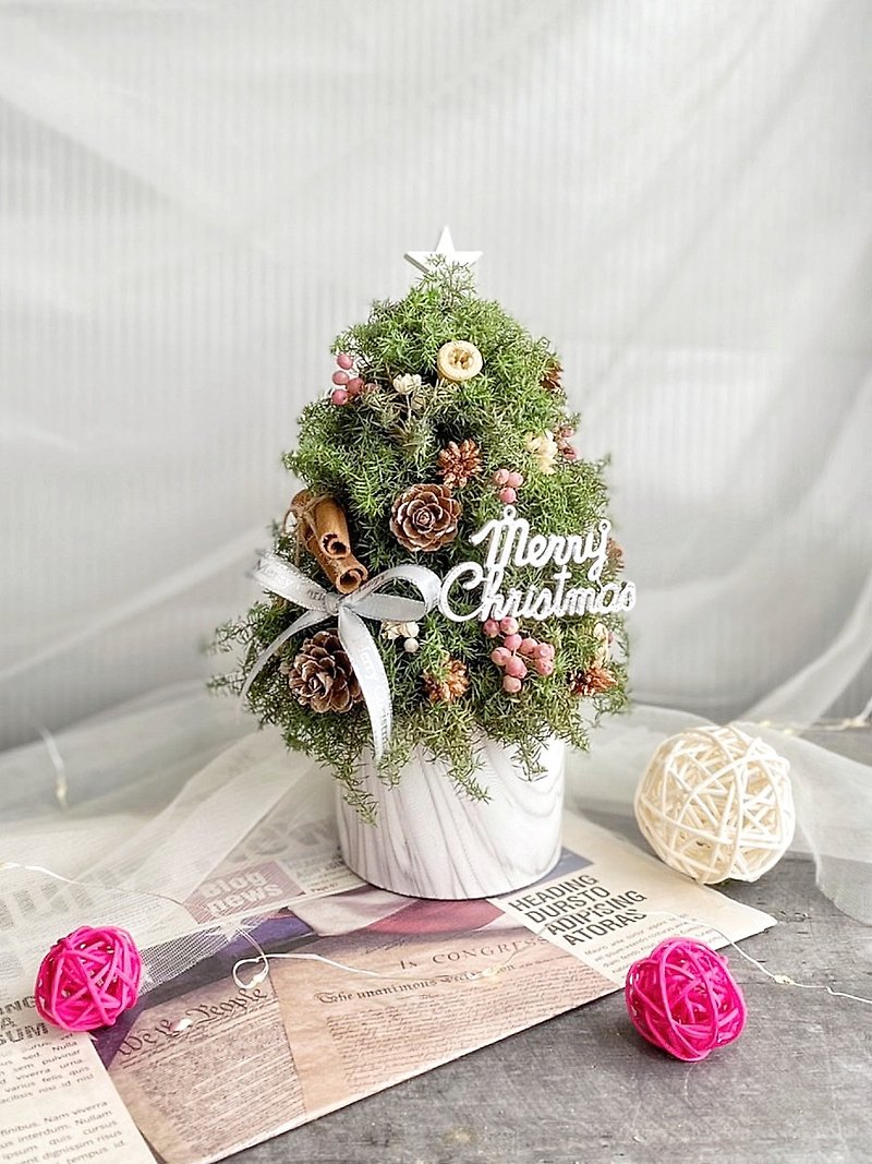 【圣诞礼盒】永生雪松圣诞小树 交换礼物 圣诞节 交换礼物 干燥花 - 干燥花/捧花 - 植物．花 