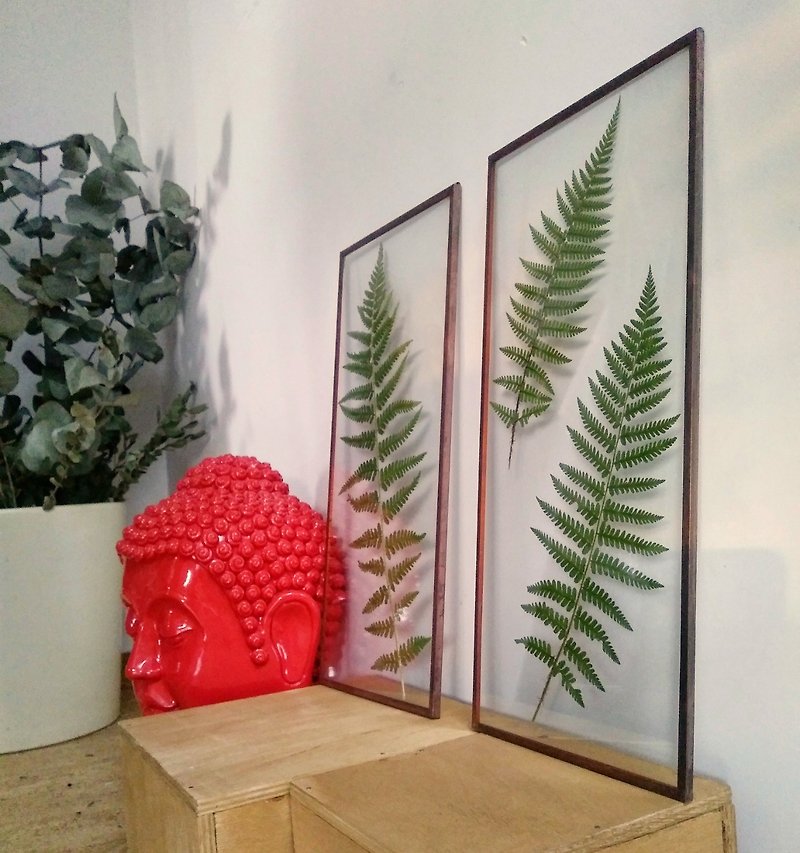 觀葉植物 蕨葉 植物标本室 玻璃框 玻璃工藝 植物禮物創意 樹葉 - 墙贴/壁贴 - 玻璃 绿色