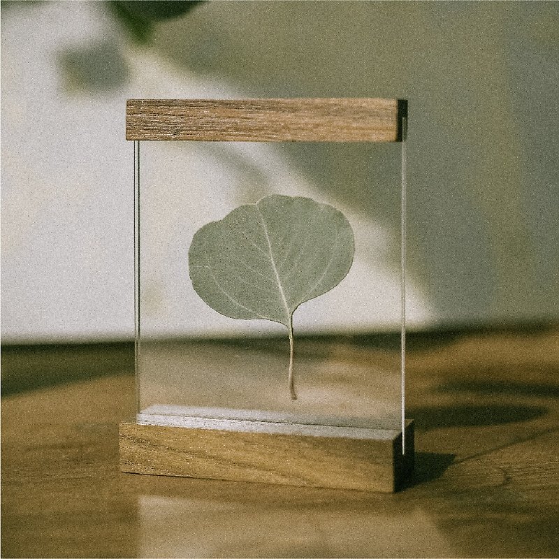 WOODEN BAR DEKSTOP 4x4 inch tabletop wooden photo frame - 画框/相框 - 木头 咖啡色