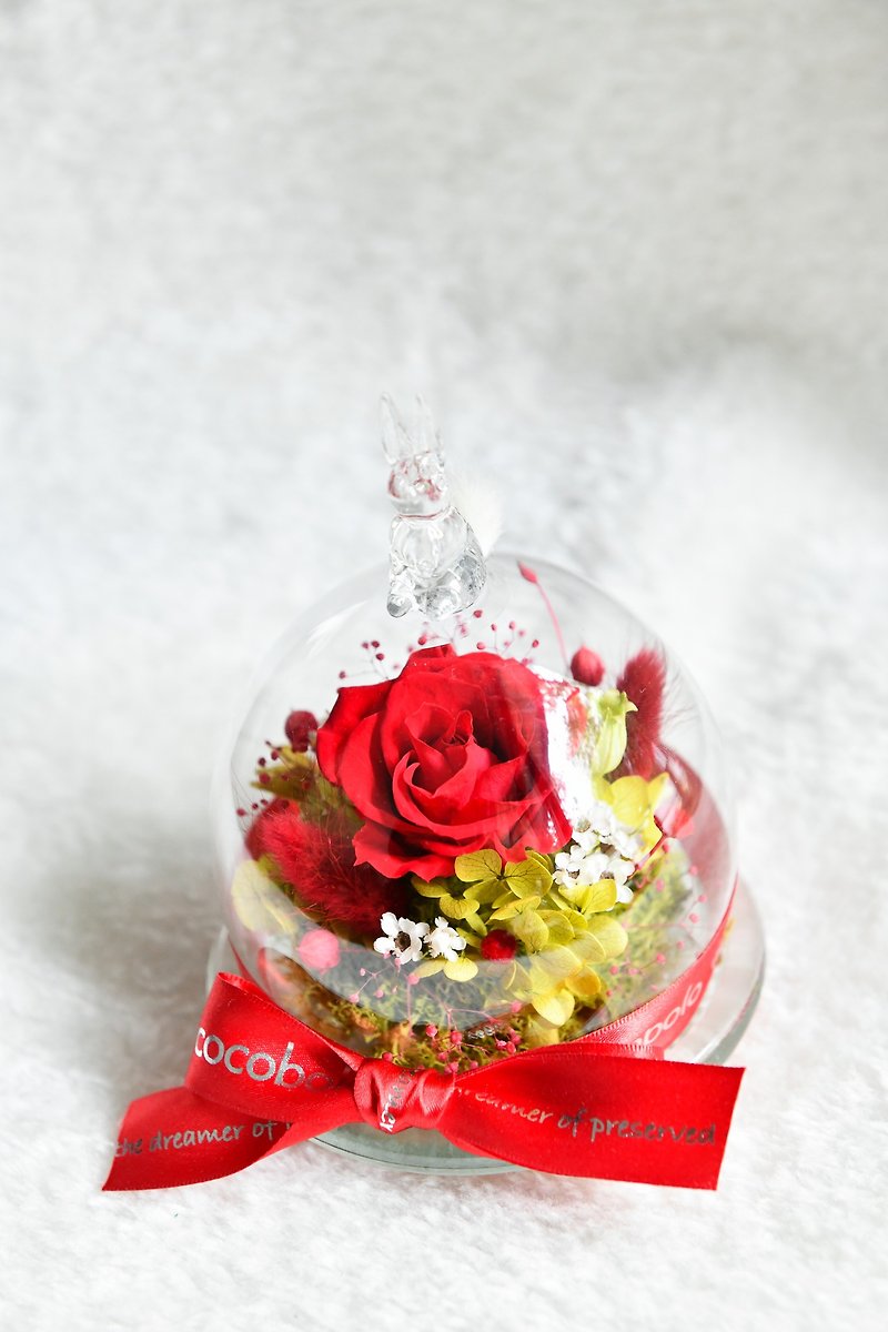 Snow Bunny 兔子圆形恒星花礼-经典红玫瑰款 - 干燥花/捧花 - 植物．花 