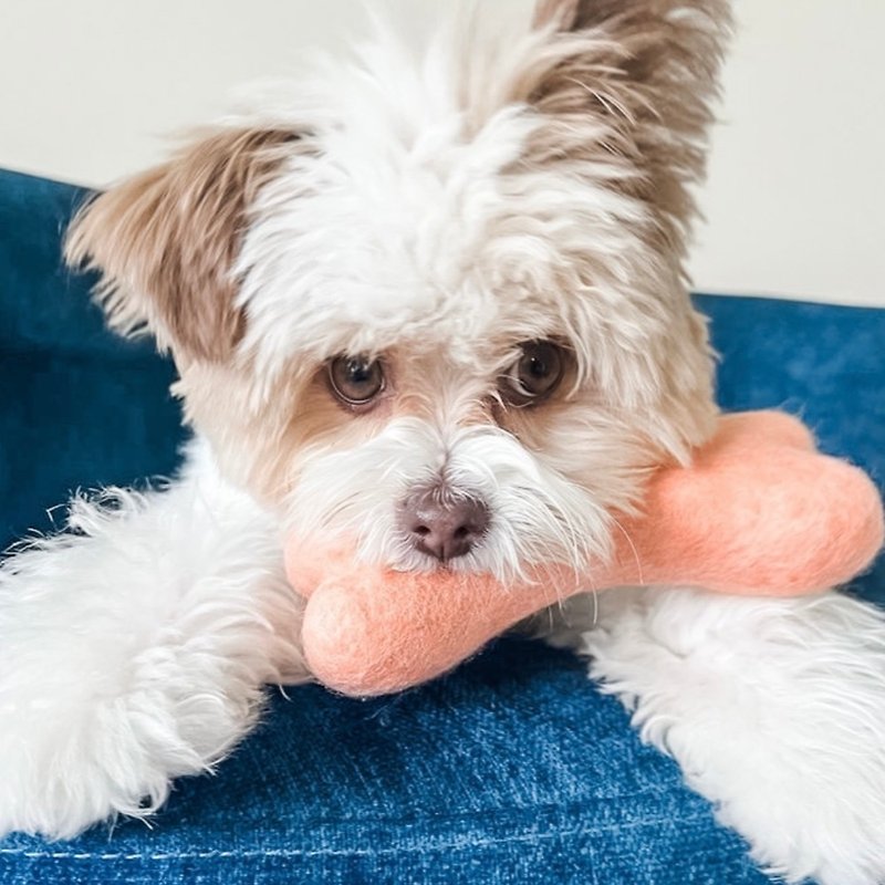 AWOO 骨头羊毛毡狗玩具互动丰容磨牙玩具 - 玩具 - 羊毛 