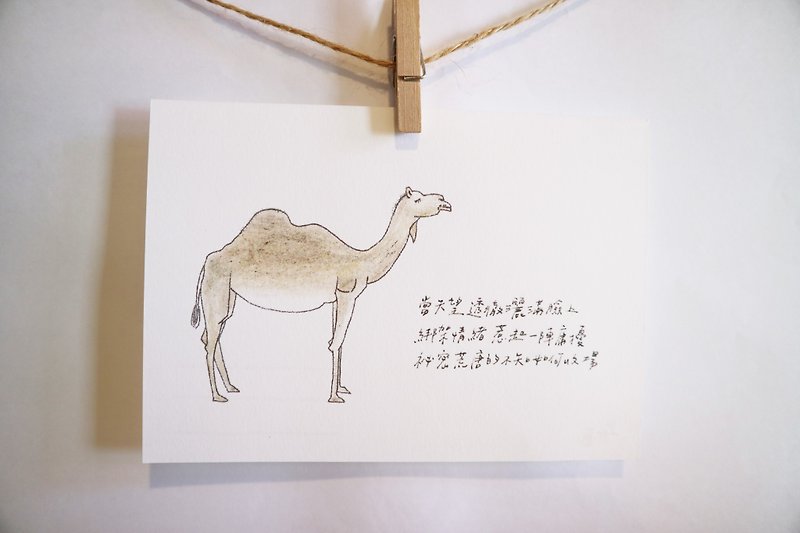 动物与它的诗31/ 骆驼/ 手绘 /卡片 明信片 - 卡片/明信片 - 纸 