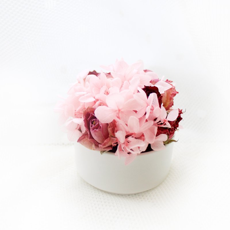 森林精灵迷你桌花・红玫瑰、木绣球经典干燥花礼 - 干燥花/捧花 - 植物．花 粉红色