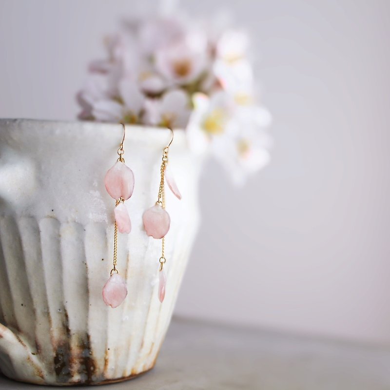 Sakura,Cherry blossoms Earrings,14k gold filled, Dried flower Earrings,No.185,桜 - 耳环/耳夹 - 植物．花 粉红色