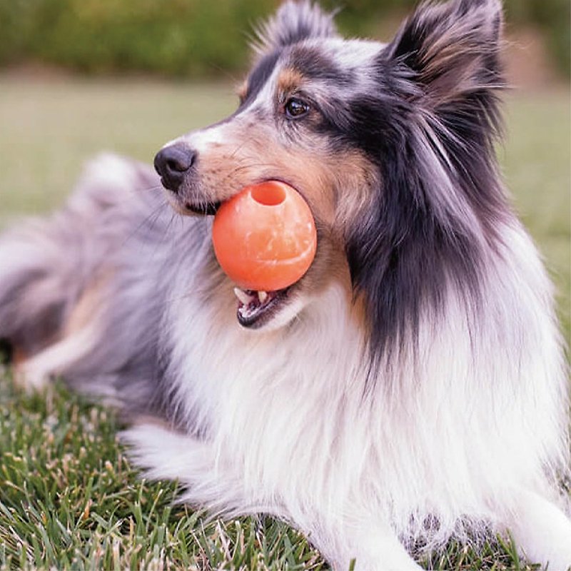 零食填充 狗狗玩具 防水 果冻球 (L) (3色) - 玩具 - 防水材质 