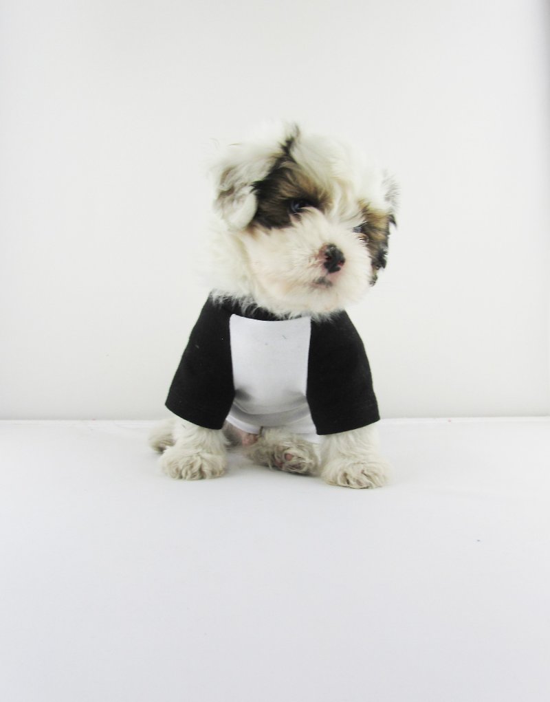 Black/White Contrasting Raglan Sleeves Cotton/Spandex Jersey Dog Tee,Dog Apparel - 衣/帽 - 棉．麻 白色