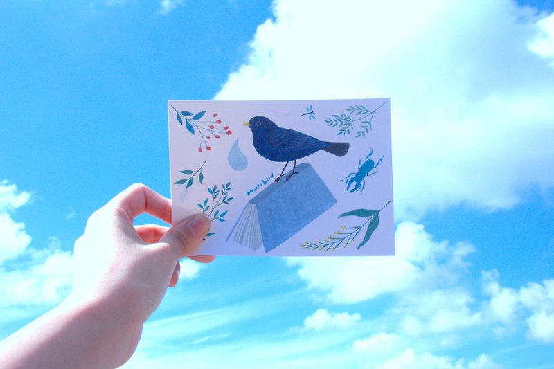 园丁鸟的收集品 第二版 小鸟明信片 - 卡片/明信片 - 纸 蓝色