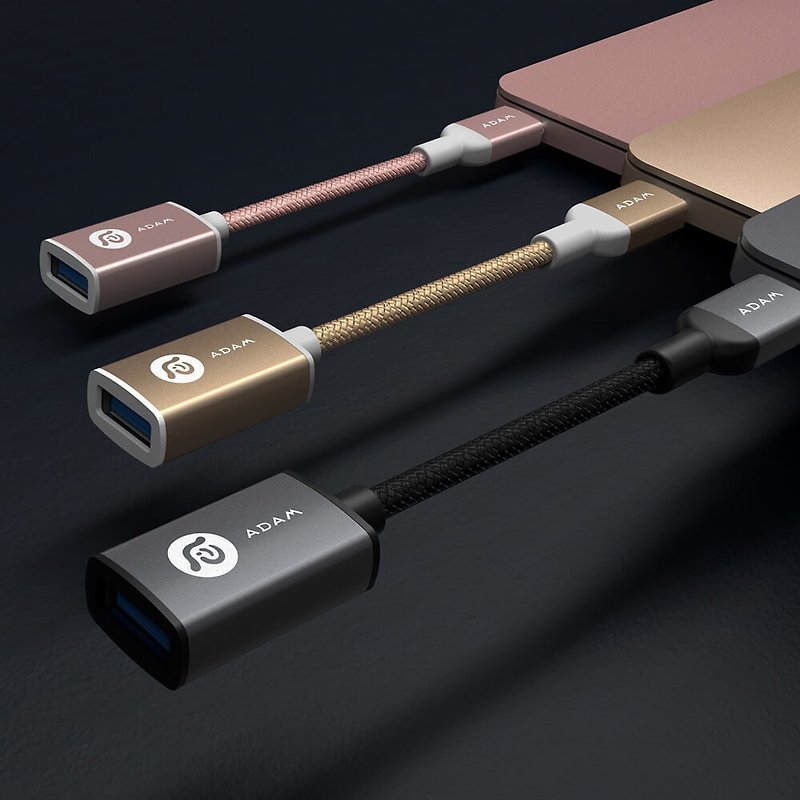 F13 USB-C公 对 USB3.1母 传输线 金 - 充电宝/传输线 - 其他金属 金色