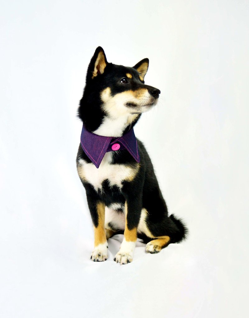 宠物双面衬衫领- 桃紫色PK (XL/2XL/3XL) - 衣/帽 - 棉．麻 紫色