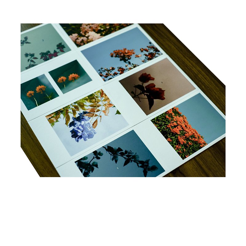 温室主人的摄影明信片 - 花月篇 - 卡片/明信片 - 纸 多色