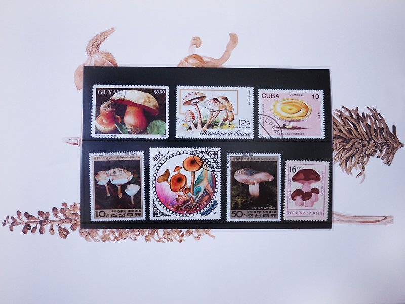 世界各地的复古蘑菇邮票 - 其他 - 纸 