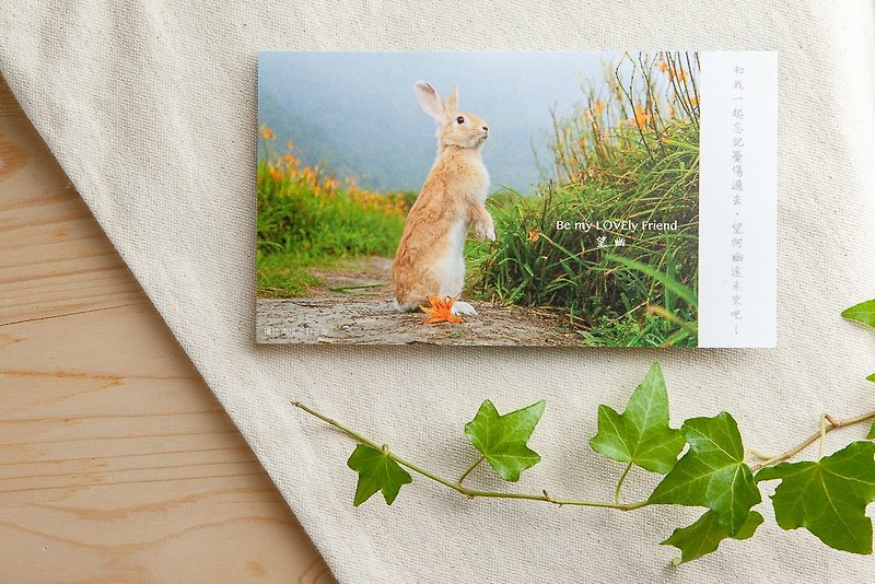 兔子摄影插画明信片 - 望幽 - 卡片/明信片 - 纸 橘色