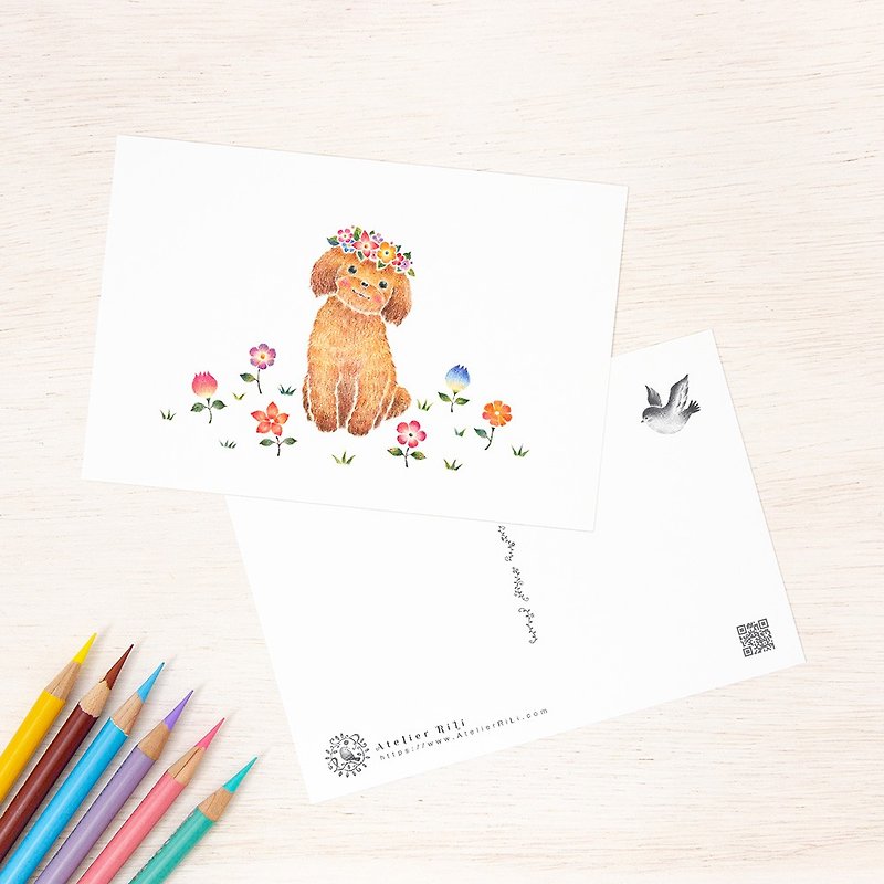 5枚セット。絵本のような。ポストカード "花を飾った子犬のチコ" PC-312 - 卡片/明信片 - 纸 咖啡色
