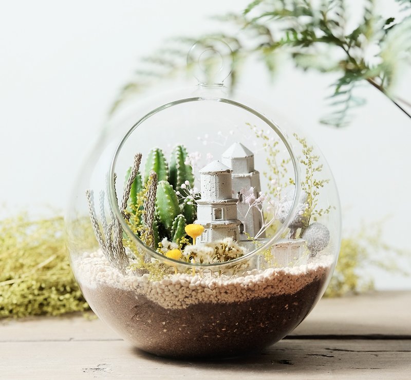 岩石系玻璃微景-城塔多肉盆栽材料包   Succulents potted - 植栽/盆栽 - 玻璃 灰色