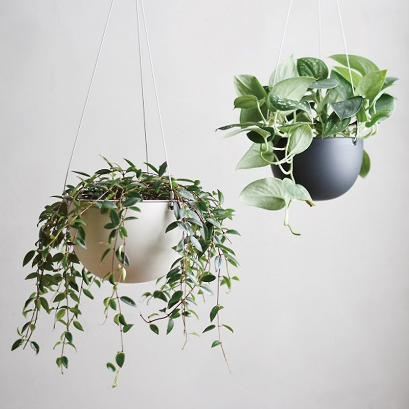 日本KINTO PLANT POT盆栽吊篮 / 共2色 / 14cm / 17.4cm - 花瓶/陶器 - 玻璃 透明