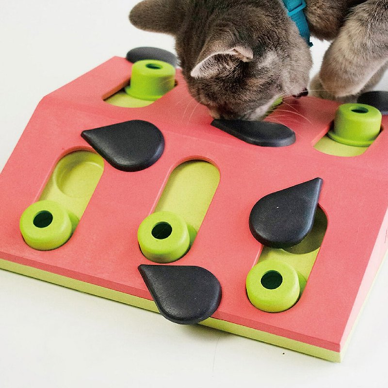 【瑞典益智玩具】趣味猫-西瓜果盘 LV2 宠物玩具 - 玩具 - 橡胶 