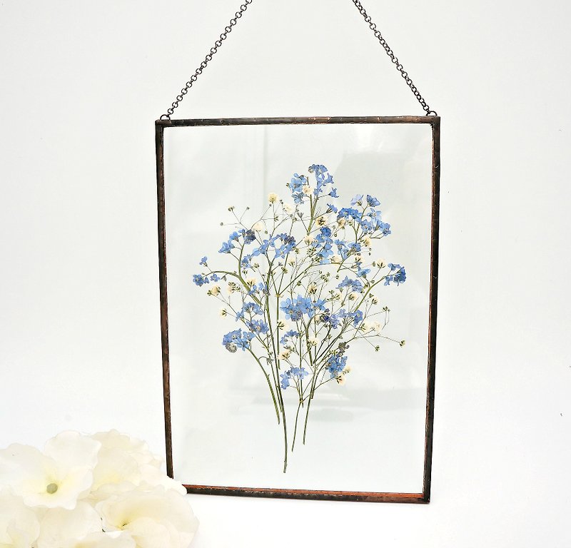 滿天星 別忘了我 乾燥花 藍色的 白色的 藍色的花朵 玻璃框 玻璃 - 墙贴/壁贴 - 玻璃 多色