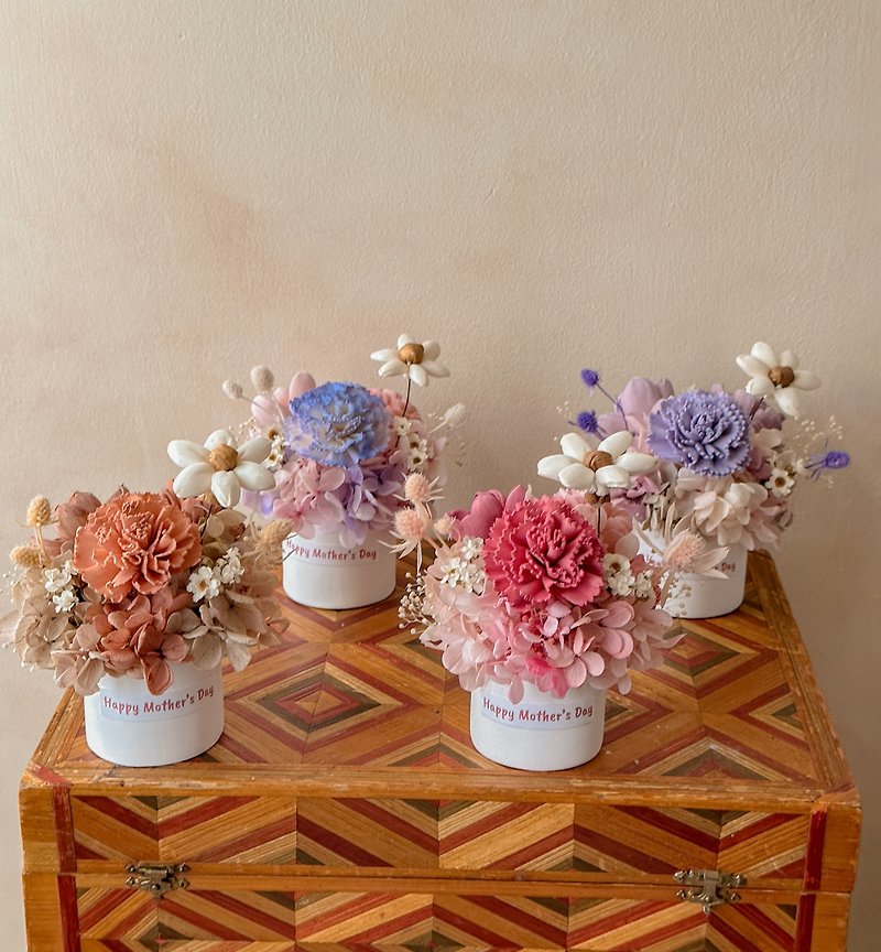 母亲节 康乃馨 扩香小桌花 盆花 香氛 送礼 - 干燥花/捧花 - 植物．花 粉红色