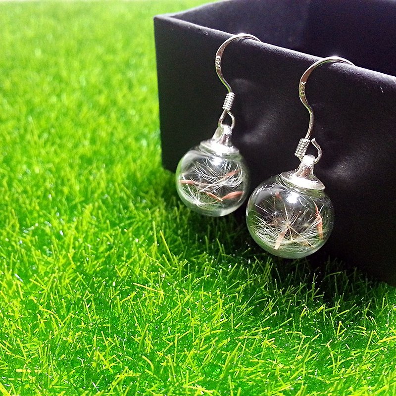 925纯银蒲公英玻璃球耳环(可改耳夹、耳针式) - 耳环/耳夹 - 玻璃 透明