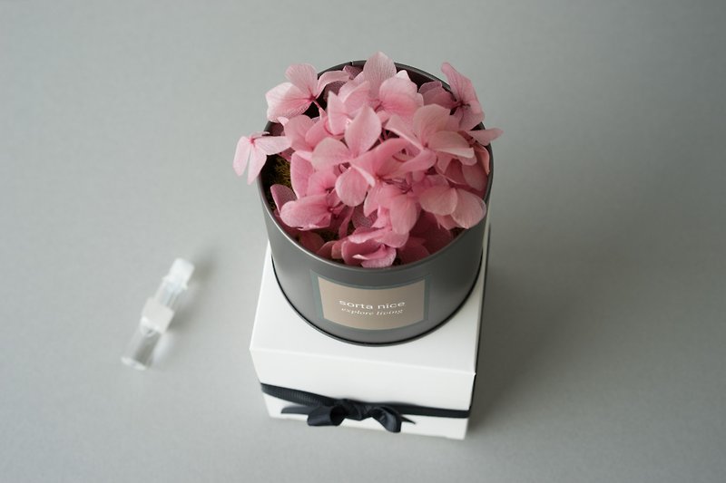 绣球花 空间香氛系列 - 香薰/精油/线香 - 植物．花 粉红色
