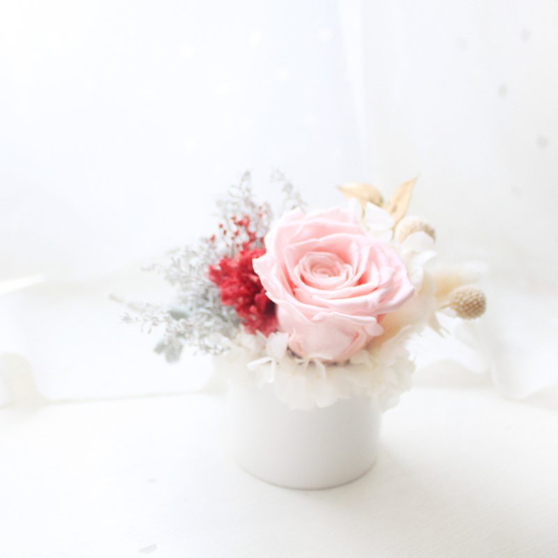 永恒的祝福・典雅粉永生玫瑰与康乃馨花礼 - 干燥花/捧花 - 植物．花 粉红色
