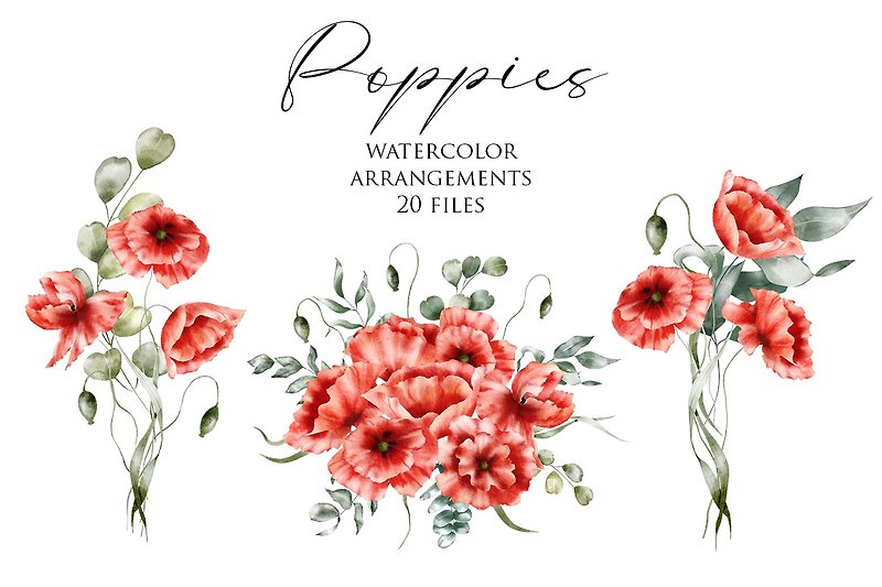 Watercolor floral clipart – Poppies arrangements, bouquets. Wildflowers, flowers - 电子手绘真人画像/绘画/插画 - 其他材质 红色