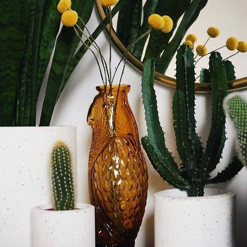 DOIY鹦鹉壶 - 花瓶/陶器 - 玻璃 金色