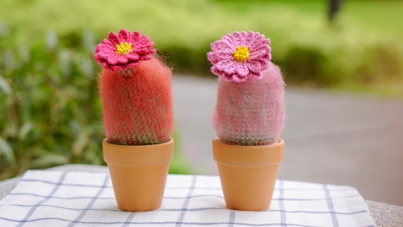 Rain bow handmade crochet cactus  in terracotta pot - 植栽/盆栽 - 棉．麻 粉红色