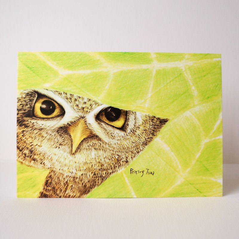 明信片 绿叶树丛里的猫头鹰 - 卡片/明信片 - 纸 绿色