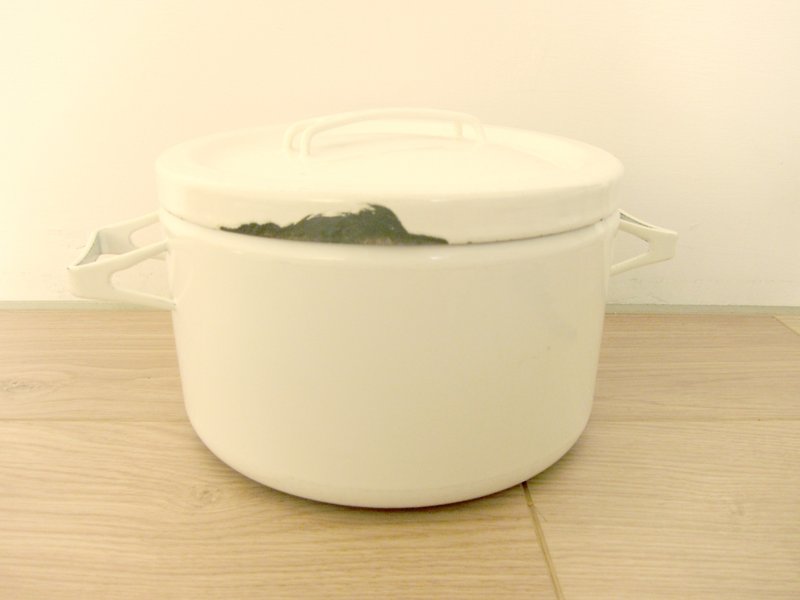 芬兰FINEL白色铸铁锅 - 锅具/烤盘 - 其他金属 白色