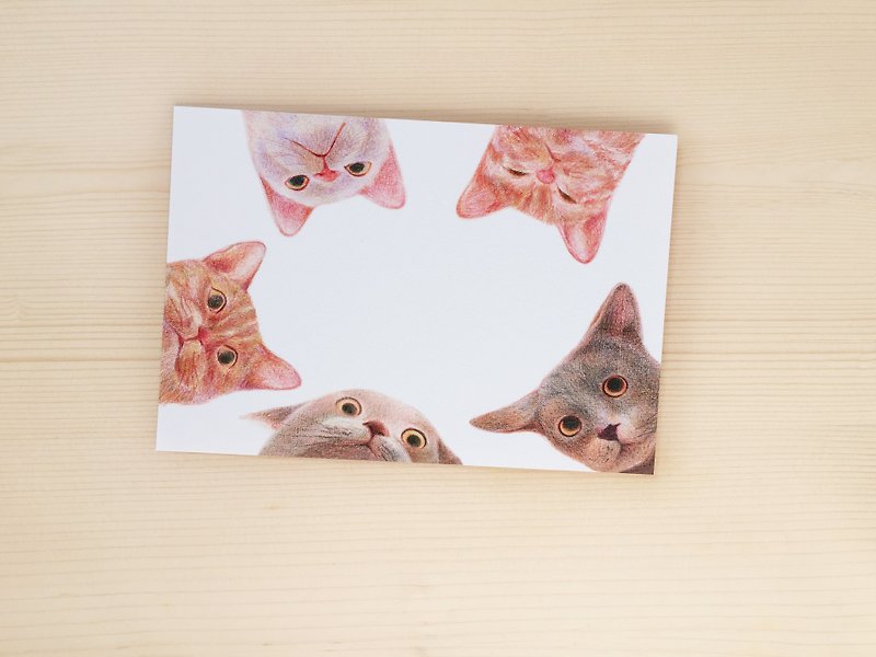 猫咪 明信片 - 卡片/明信片 - 纸 