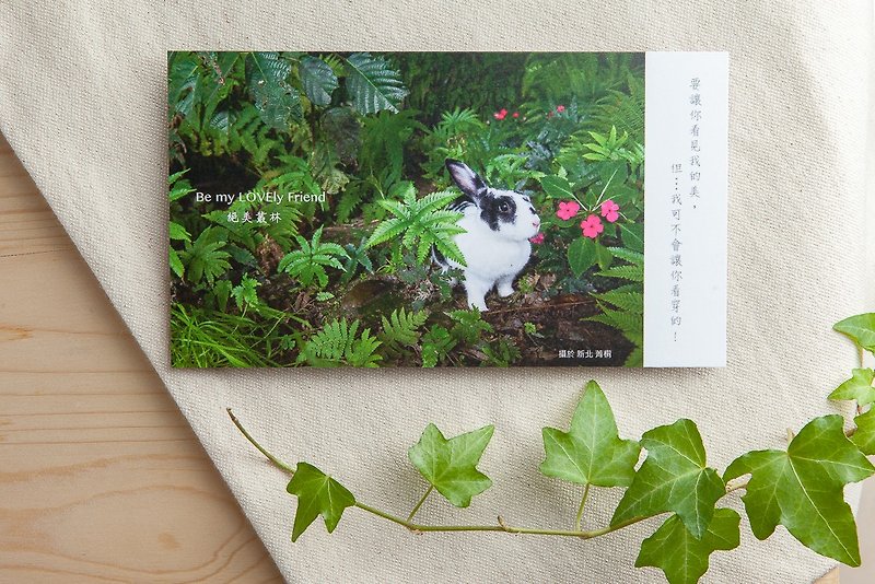 兔子摄影插画明信片 - 绝美丛林 - 卡片/明信片 - 纸 绿色