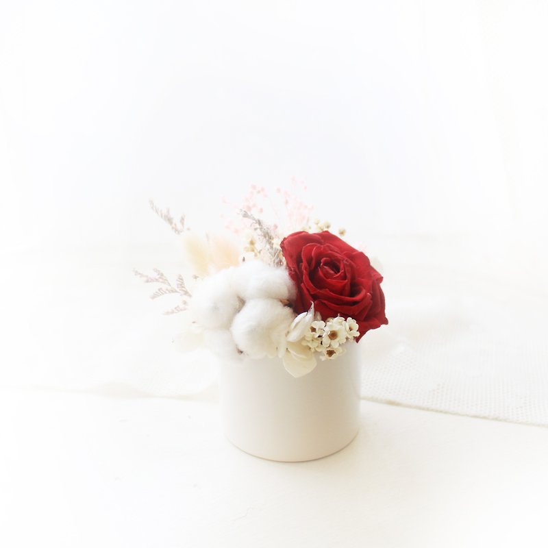 精灵公主的后花园・古典红永生玫瑰与白棉花礼 - 干燥花/捧花 - 植物．花 红色