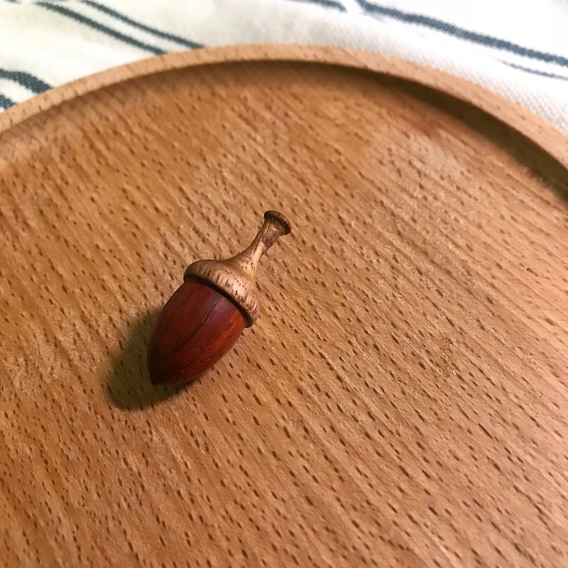 红木橡实(壳斗科) - 其他 - 木头 咖啡色