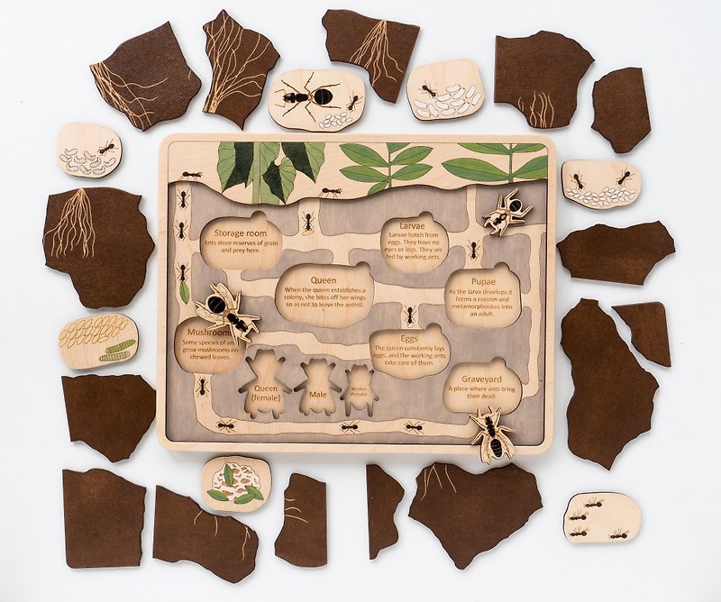Wooden Puzzle Anthill Montessori Wooden ant toys Education Original Toy Wooden - 玩具/玩偶 - 木头 咖啡色