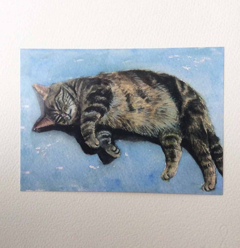 猫咪好眠系列 手绘明信片 虎斑猫 - 卡片/明信片 - 纸 蓝色