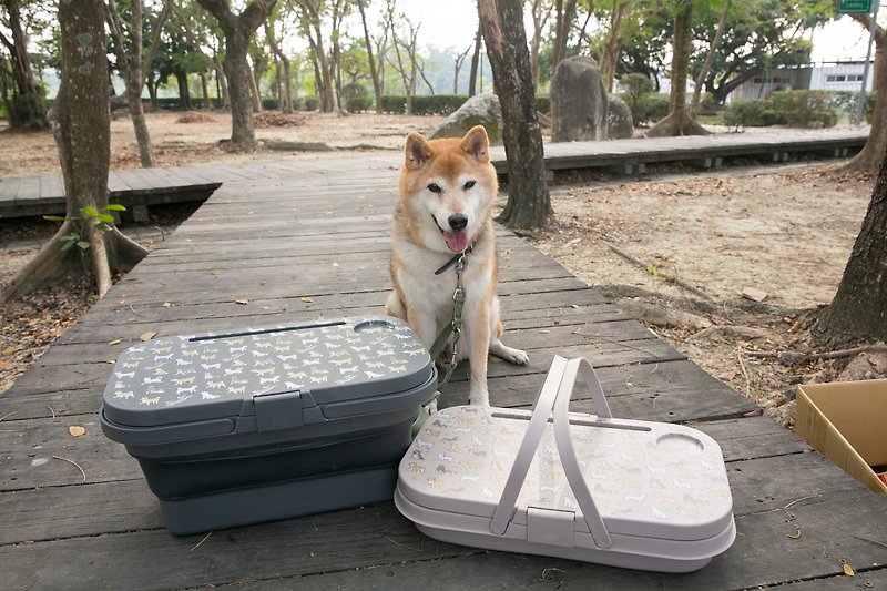 柴犬大学 满满柴多功能折叠野餐盒 手提野餐篮 柴犬周边 露营用品 - 野餐垫/露营用品 - 塑料 灰色