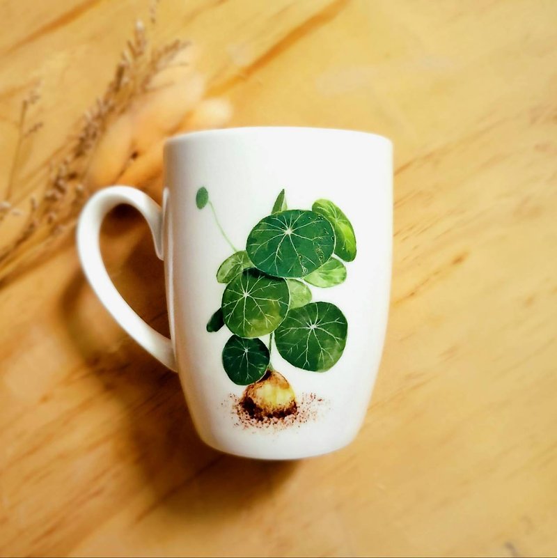 手绘观叶植物 马克杯  山乌龟系列 - 咖啡杯/马克杯 - 瓷 