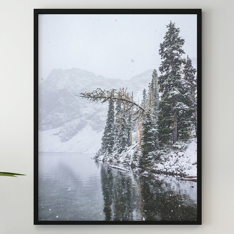 独特的弯曲针叶树在山湖雪冬山雪林上 - 海报/装饰画/版画 - 纸 
