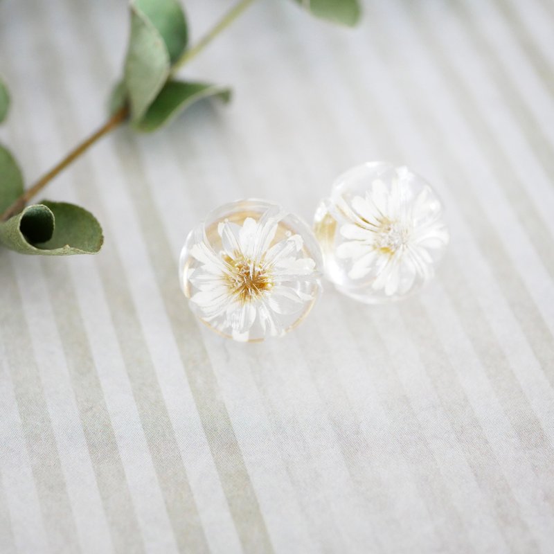 树脂 耳环/耳夹 白色 - Matricaria dried flower earrings/P-266