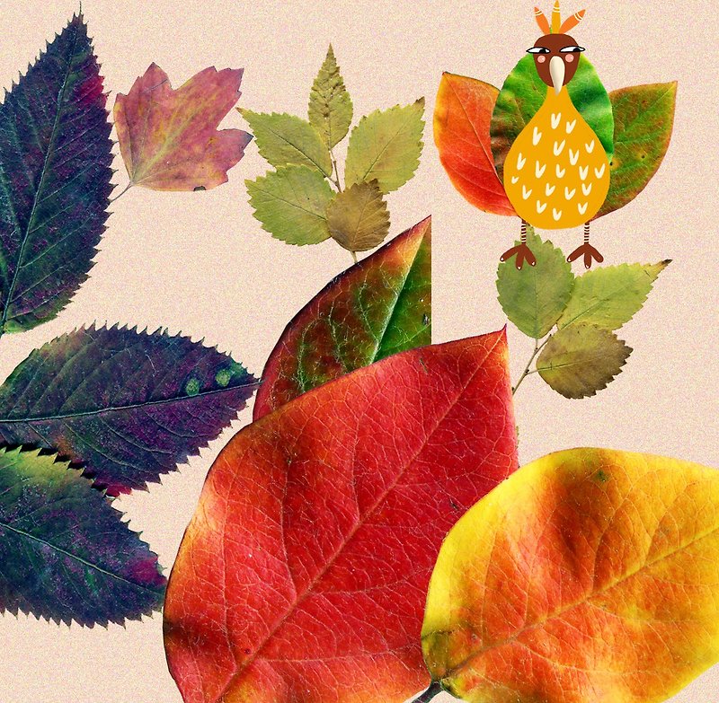 Fall clipart, Pressed leaves, Autumn graphic set with REAL LEAVES ,600 dpi - 插画/绘画/写字 - 其他材质 橘色