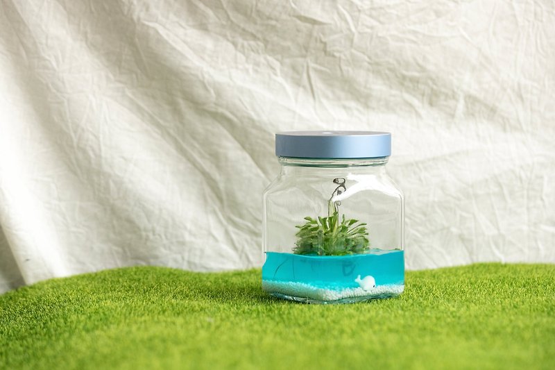 小室瓶栽 食虫植物系列 毛毡苔 工业风2号瓶 蔚蓝海洋 - 植栽/盆栽 - 玻璃 透明