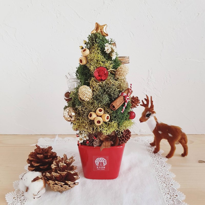 干燥圣诞树 - 摆饰 - 植物．花 红色