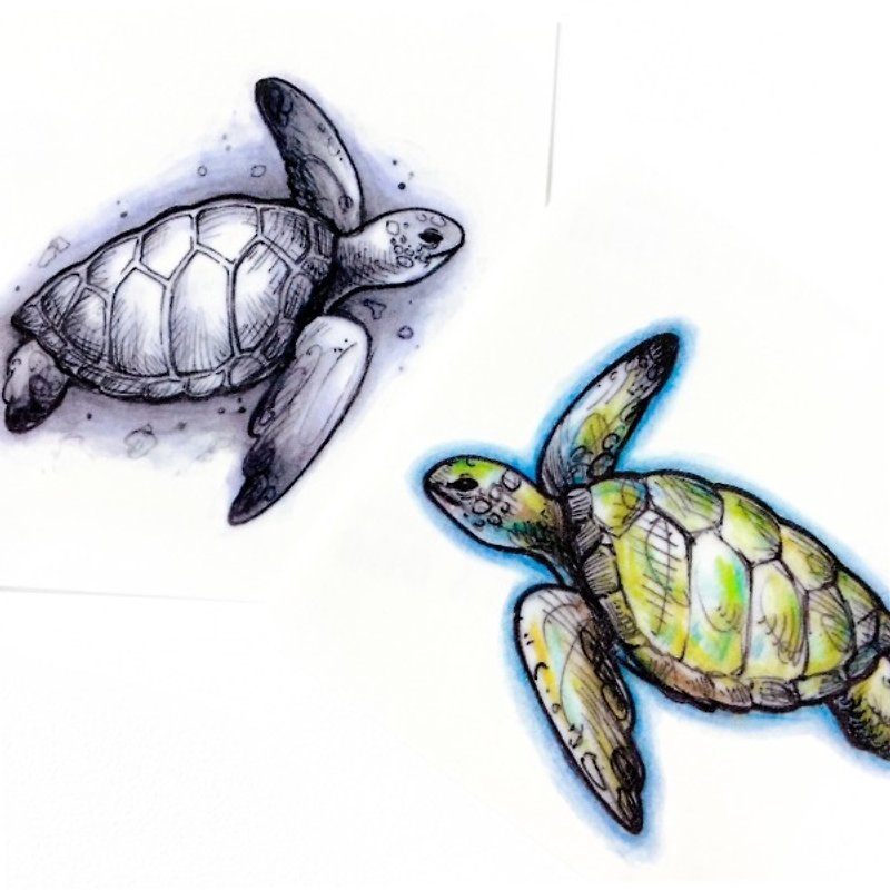 LAZY DUO水彩动物刺青纹身贴纸海龟海洋乌龟大自然自由梦想夏天 - 纹身贴 - 纸 多色
